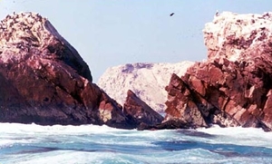 4BA IN Paracas Balestas eilanden