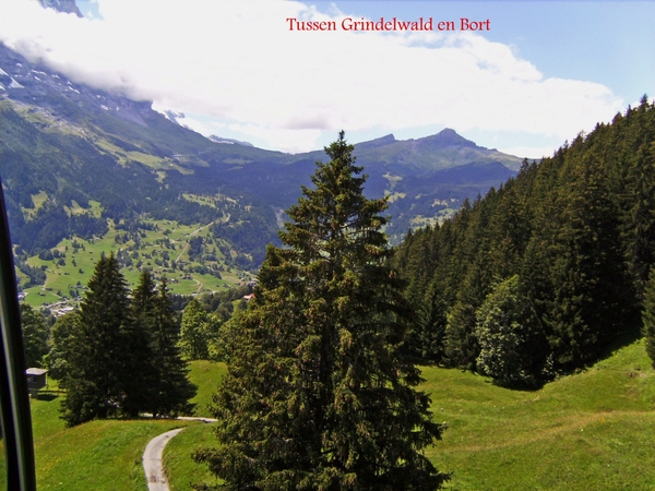 Tussen Grindelwald en Bort (vanuit kabelbaan)