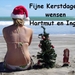 Fijne Kerstdagen