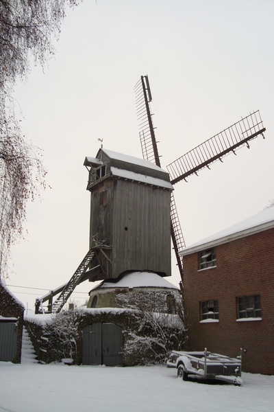 winter 2010 molen 003