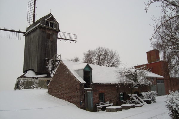 winter 2010 molen 017