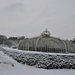 Meise Nationale plantentuin winter