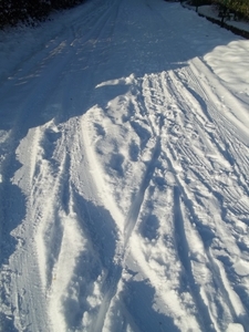 sporen in de sneeuw