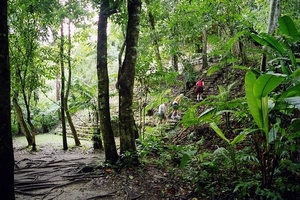 4a Palenque_tempels en piramides die diep in de jungle liggen en 
