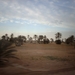 1 Djerba_platte land_IMAG0341
