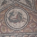 4a Tunis_Bardomuseum_mozaiek_capricorn paneel van Zodiac mozaiek_