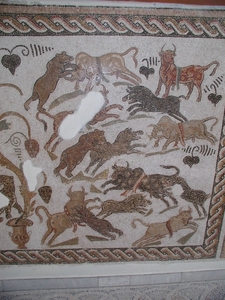 4a Tunis_Bardomuseum_mozaiek_gevecht tussen beren en stieren