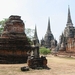 2b_Ayutthaya_ruines pagodes 18