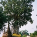 2b_Ayutthaya_wat_na_phra_men