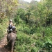6_Chiang Mai_olifantensafari 2