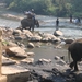 6_Chiang Mai_olifanten_kamp