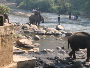 6_Chiang Mai_olifanten_kamp