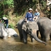 7_Chiang Rai_olifanten 2
