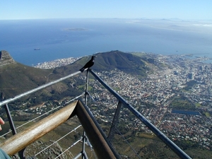 8 Kaapstad _zicht vanaf de tafelberg 3