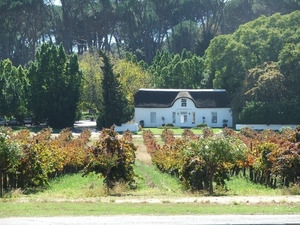 8b Kaapstad _omg_Stellenbosch_wijnhuis_Dutch house