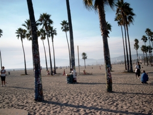 1a  Los Angeles_Venice beach_SIMG2545