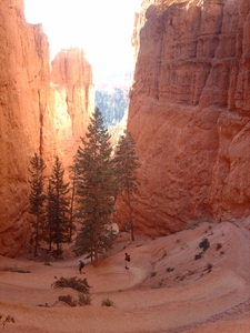 4b Bryce Canyon_afdaling in de canyon_IMAG1624