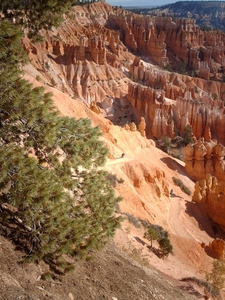4b Bryce Canyon_afdaling in de canyon_IMAG1637