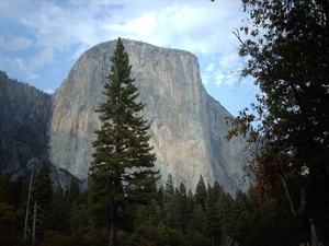 5b Yosemite_El Capitan_IMAG1729