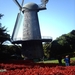 6a San Francisco_stadspark_Hollandse windmolen_IMAG1783