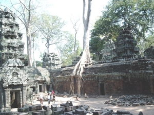 3TP SIMG1196 binnenplaats tempel met bomen Ta Phrom