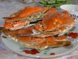 8HL I Halong bay seafood krabben