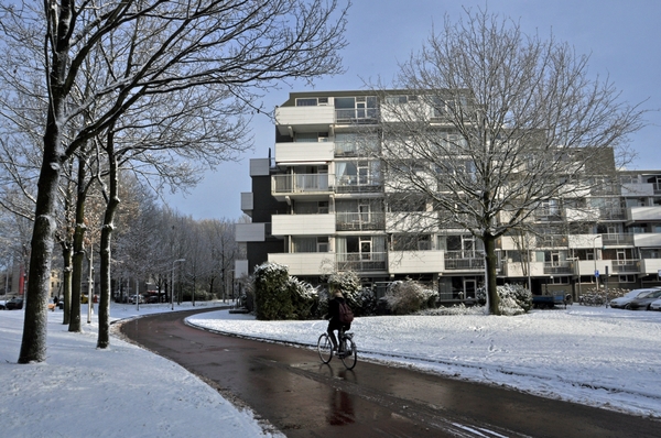 fietspad cobbenhagenlaan tilburg bij terras flat