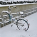 sneeuwfiets campus tilburg