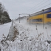 trein en sneeuw
