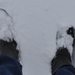 sneeuw twee voetjes hoog