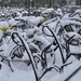 fiets van student station tilburg