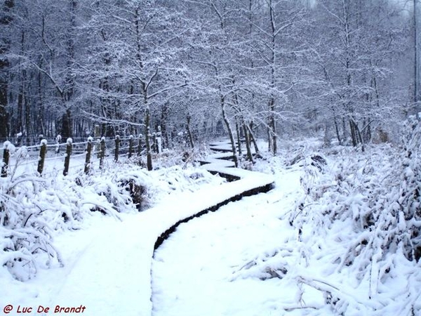 Denderleeuw wandeling sneeuw