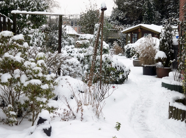 Sneeuw in tuin 2 Decemb.2010
