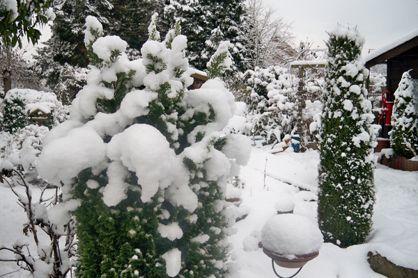 Sneeuwbeelden 18 Decemb 2010
