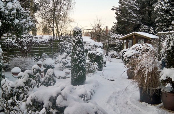 Sneeuwbeelden 18 December 2010