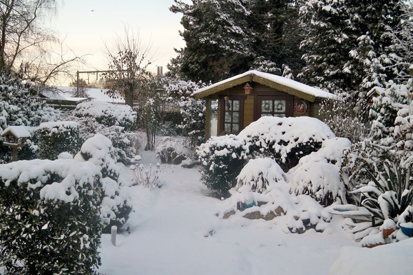 Sneeuwbeelden 18 December 2010