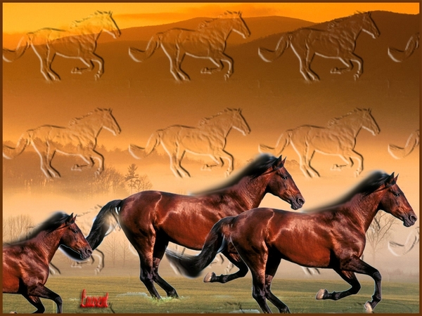 paarden in reliëf