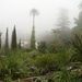 0809 Madeira - 069 - Palheiro Gardens Funchal