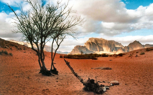 1c Wadi Rum woestijn  _7 pilaren der wijsheid 3
