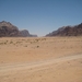 1c Wadi Rum woestijn 15