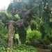 0809 Madeira - 101 - Palheiro Gardens Funchal