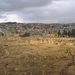 2b Jerash  _in de 8e eeuw door een aardbeving geheel onder het za
