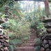 0809 Madeira - 279 - Jardim Tropical Monte Palace (Funchal)