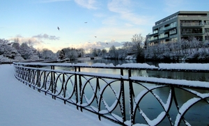 18 December 2010-Winterfoto\'s Stadspark-Roeselare