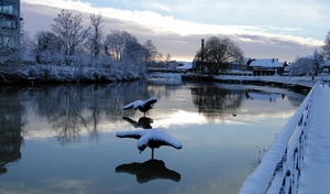 18 December 2010-Winterfoto's Stadspark-Roeselare