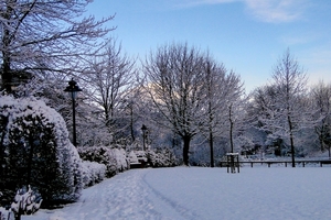 18 December 2010-Winterfoto's- Stadspark-Roeselare