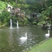 0809 Madeira - 292 - Jardim Tropical Monte Palace (Funchal)
