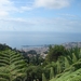 0809 Madeira - 298 - Jardim Tropical Monte Palace (Funchal)