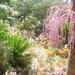 0809 Madeira - 307 - Jardim Tropical Monte Palace (Funchal)
