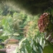 0809 Madeira - 311 - Jardim Tropical Monte Palace (Funchal)